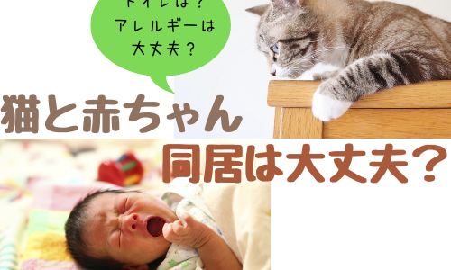 トイレはどこに置く？トキソプラズマは大丈夫？赤ちゃんと猫の同居について気になる6つのギモン