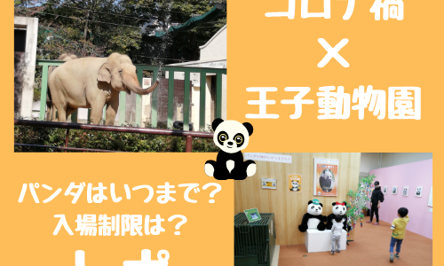 【コロナ禍必見】王子動物園は入場制限してる？パンダはいつまで見られるの？コロナ禍の王子動物園情報